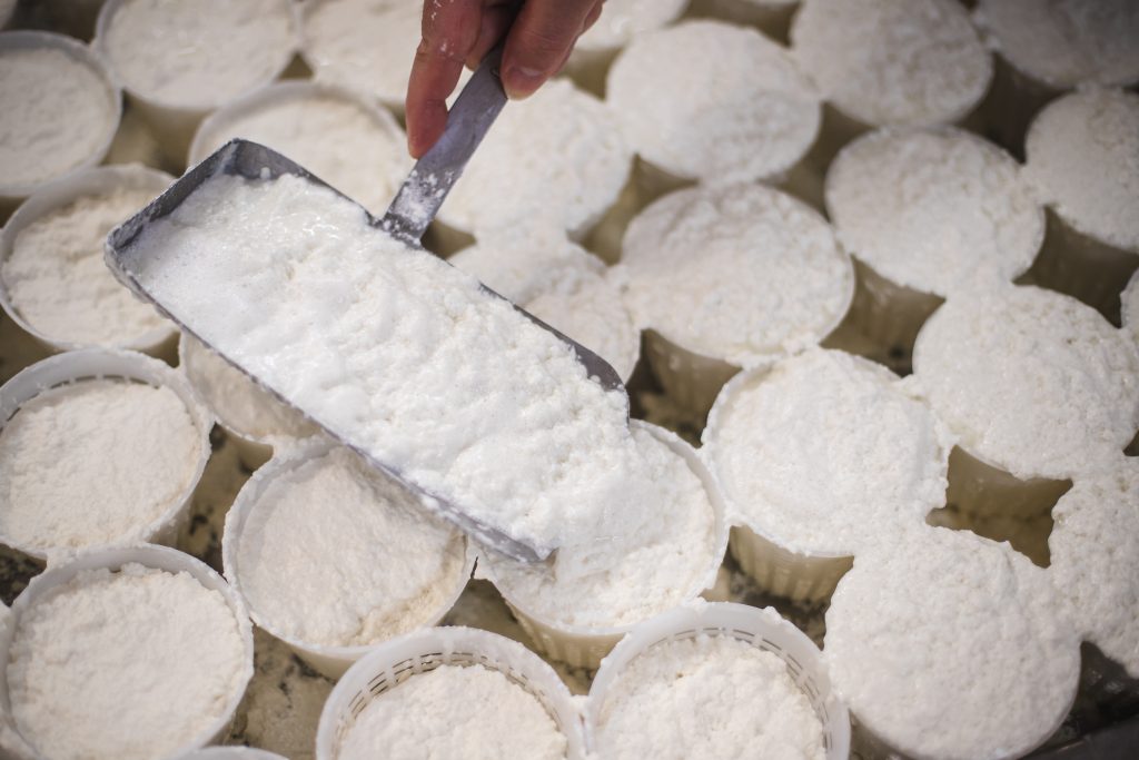 La Ricotta di Bufala